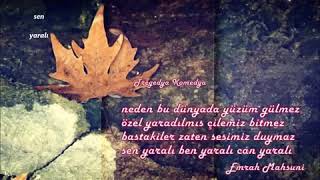 Sen Yaralı Ben Yaralı