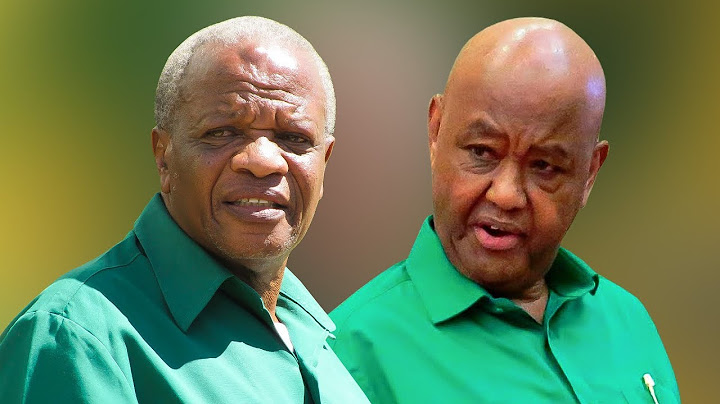 Kada wa CCM Hajawaacha Salama KINANA,MAKAMBA- "Nyie Tulieni"