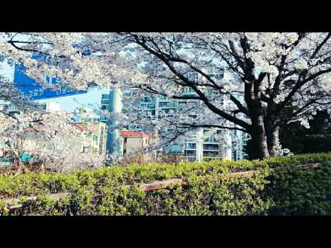 [everysing] 애인이 생기면 하고 싶은 일(With 비)