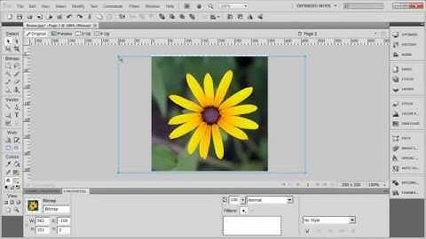 Tutorial: Adobe Fireworks CS5 for Beginners Lesson 11