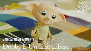 Dobby È Un Elfo Libero (Irl) | Harry Potter Magical Movie Moments