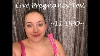 Celebrity Live Pregnancy Test   11 DPO Net Worth