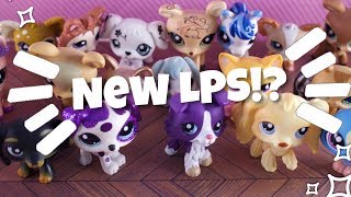 MY 18 NEW LPS! | Trade packages & More!