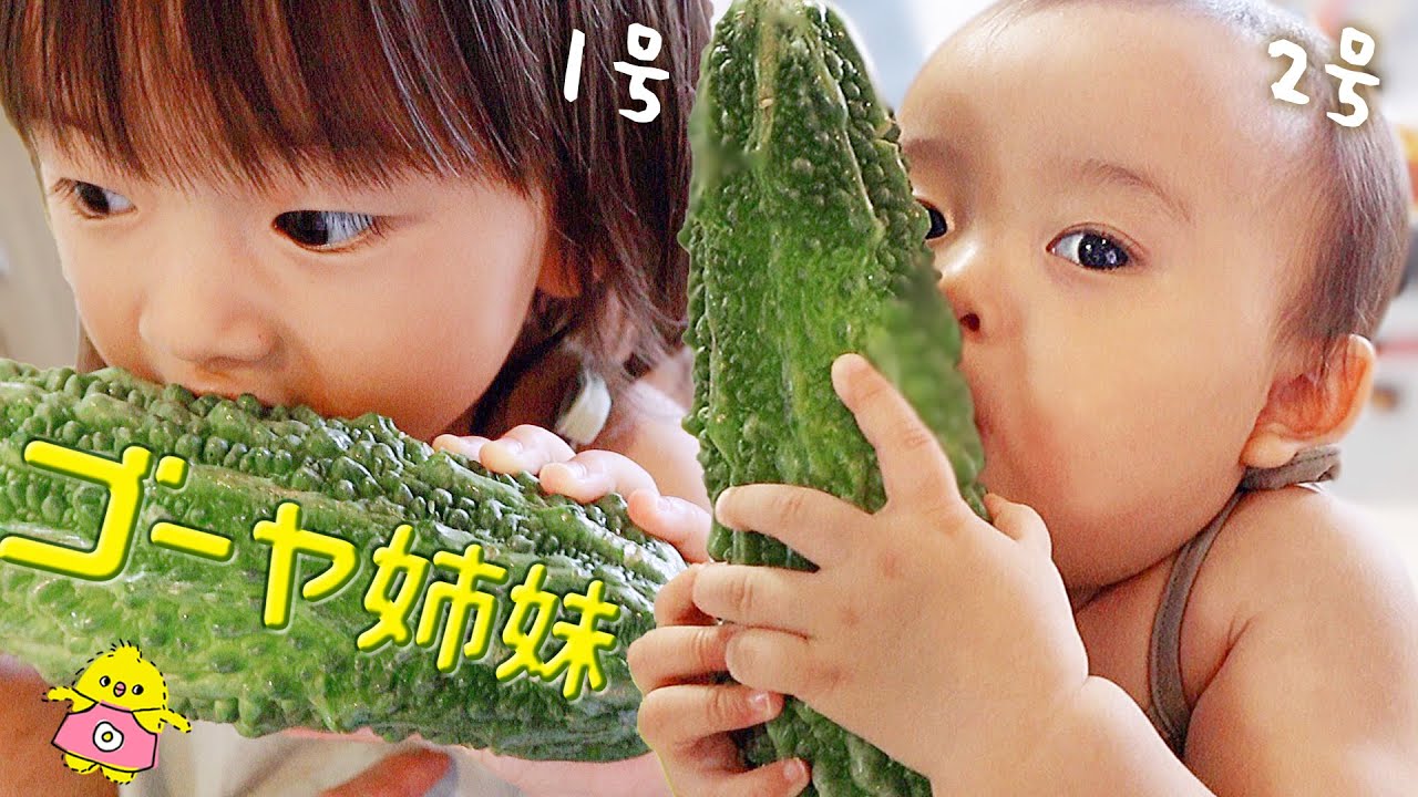 初めてのゴーヤに生で食らいつく赤ちゃん【ちゅんぴー年子姉妹】