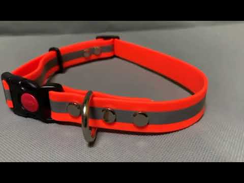 ошейник из биотана ошейник из биотана