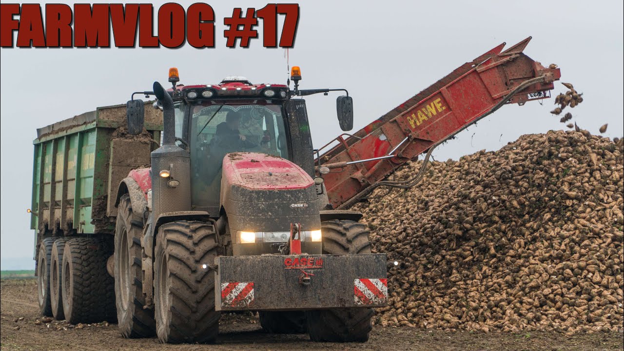 FARMVlog #17 - Odvoz řepy s Case IH Magnum 340 + Hawe RUW 4000 🚜