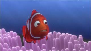 Procurando Nemo 2003 Tvrip Globo Dublado
