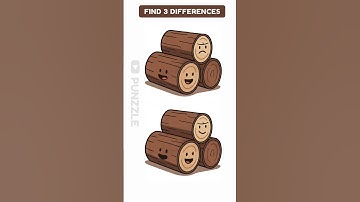 find 3 Differences #76