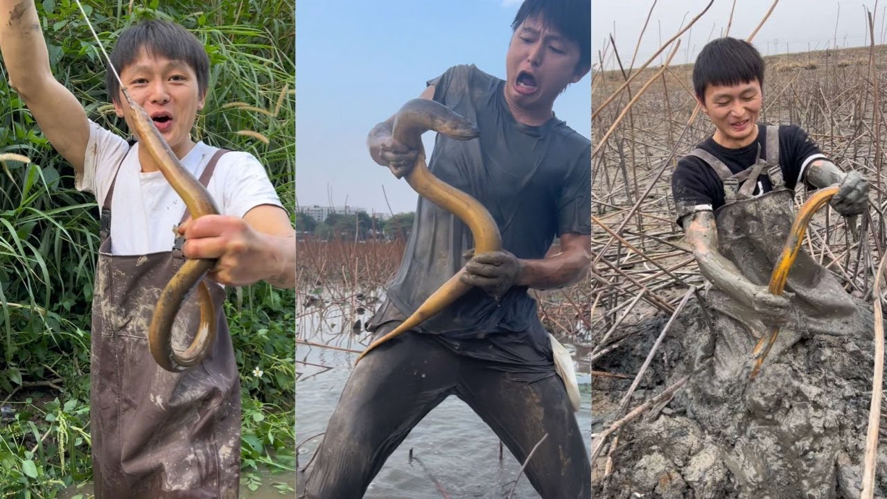 水猴子收到钓友求助发现巨物横行的地方，里面的鳝鱼竟然有3-5斤大，与大鳝鱼斗智斗勇是一种无与伦比的感觉！