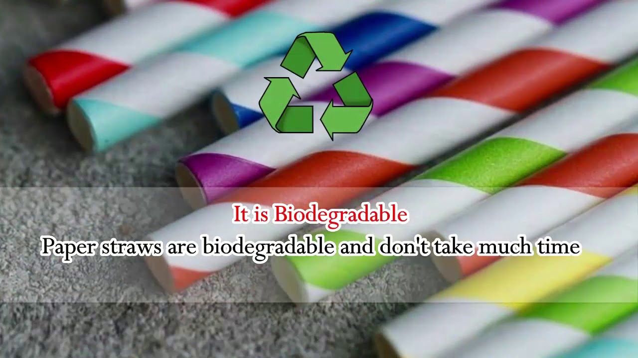 Why Restaurants Should Use Paper Straws Sipping Green Ltd YouTube