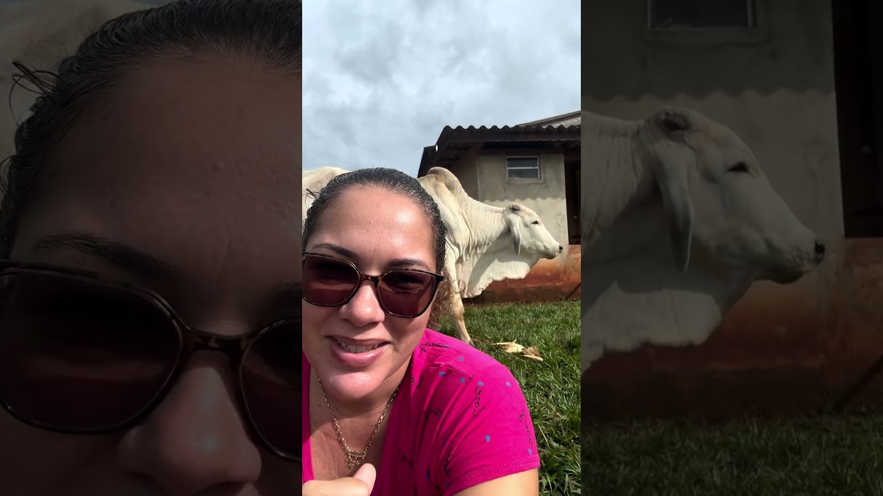 Ele só se alimentou porque eu levava até onde ele ficou 🥺