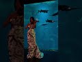 The Love of Tired Swans 🌹🎶 Dimash Qudaibergen | Violin Cover 🎻 Fondation Aquatis, Lausanne #Shorts