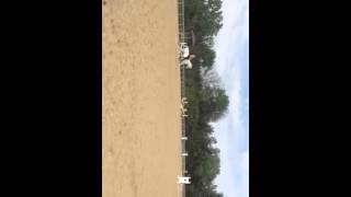 6/24/15 Flatwork with Harley