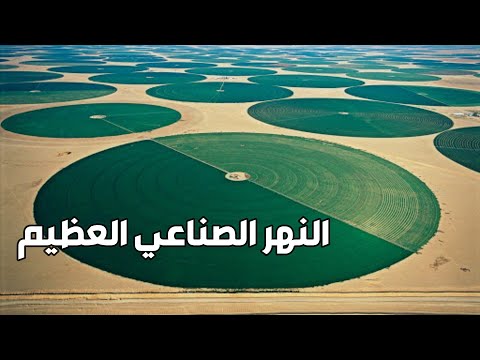 فيديو: ما الذي تحتاجه على نهر نرمت لتمريره؟