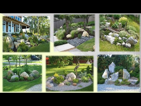 Video: Jardines de roca de la zona 5: plantas de jardín de roca adecuadas para jardines de la zona 5