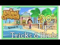 30 Tips Tricks and Hints. Things to do everyday, Animal Crossing New Horizons #15 ACNH