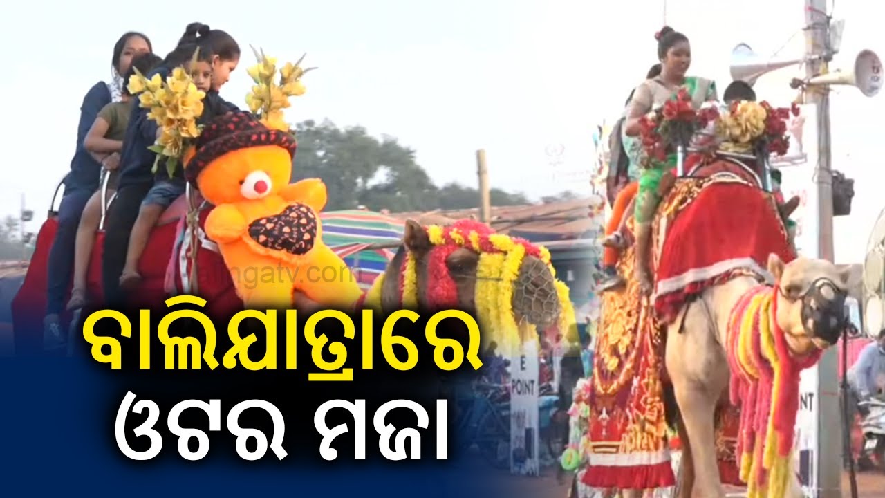 Historic Bali Jatra celebration underway with huge crowd || Kalinga TV ...