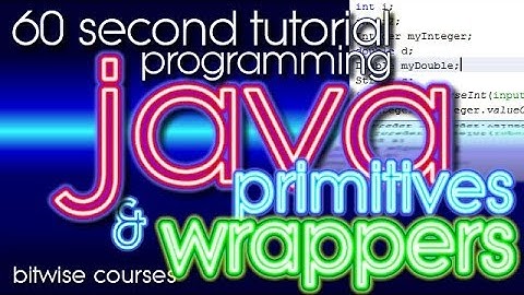 Java Programming in 60 Seconds: Primitive data types and Java class wrappers