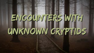 Encounters With Unknown Cryptids