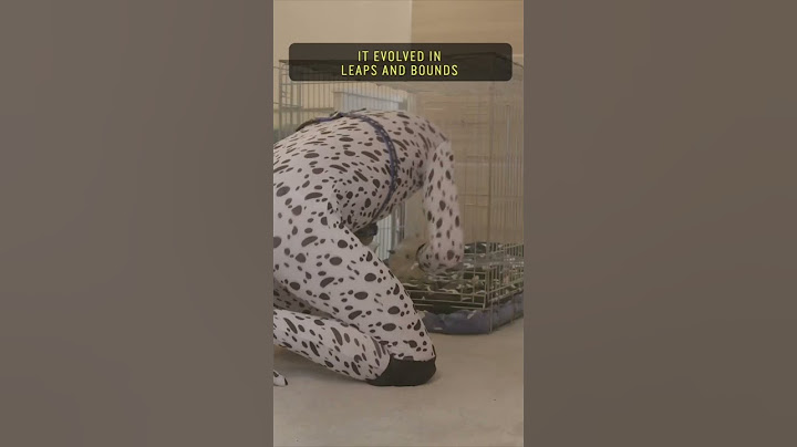 The Man Who Lives Like A Human Puppy #dog #puppy #roleplay #lifestyle #pets #pet #shorts