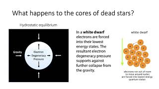 What is degeneracy pressure in white dwarf and neutron stars?
