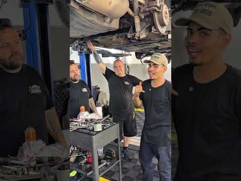 Bucha do eixo traseiro da HRV