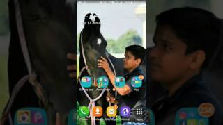 How to Download photos And videos on Instagram with instasaver screenshot 5