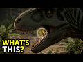 Albertosaurus Proves Dinosaurs Hunted as Teams