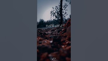 سورة الرحمن | ياسر الدوسري