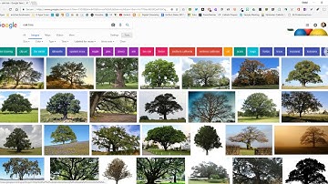 SMART Notebook   Activity Builder