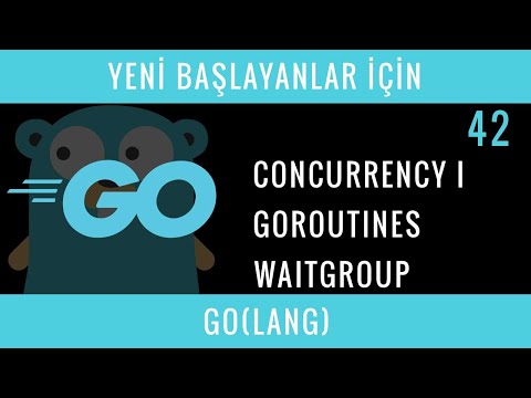 Yeni Başlayanlar İçin GO(LANG) : 42 : Concurrency I, Goroutines, WaitGroup