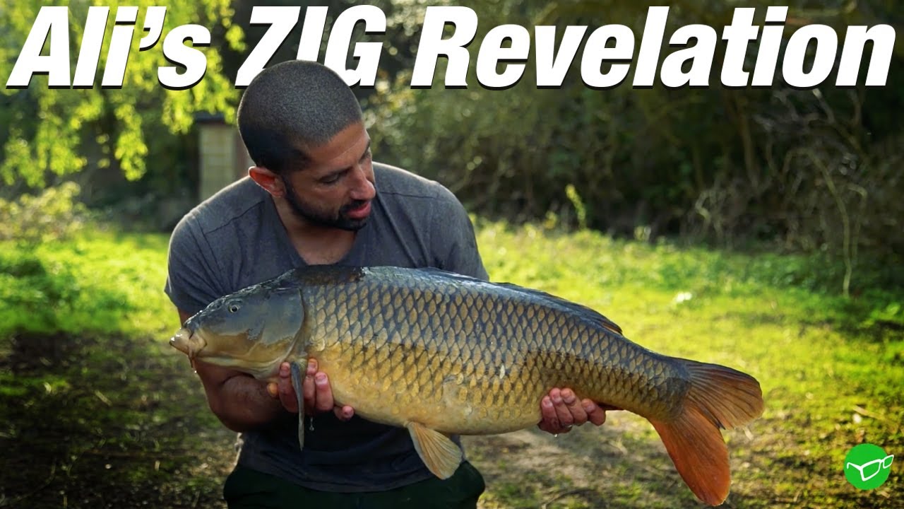 Ali's Zig Revelation - Team Korda 