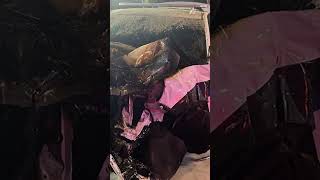 2 Fort Lauderdale Police officers hospitalized after crashing into each other