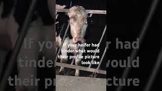 Download Lagu #Aloni #tinder 🩵🐄 MP3