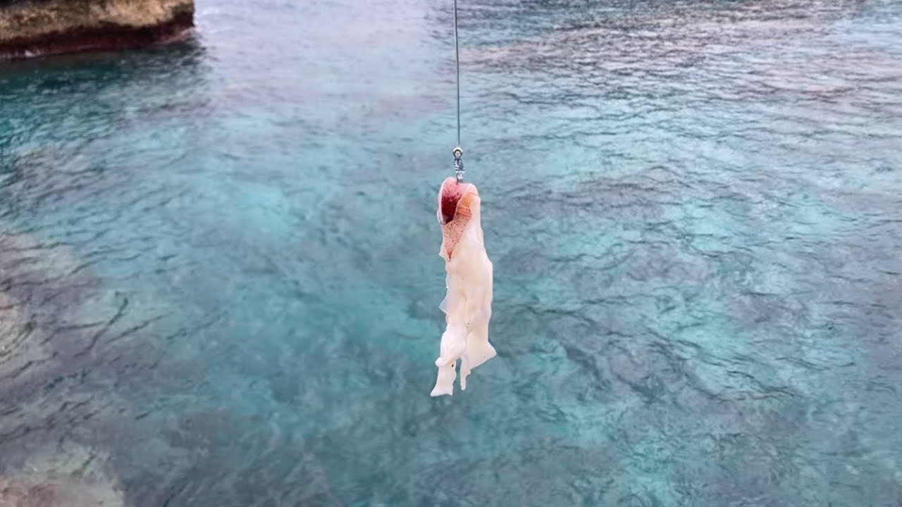 【離島遠征】足元に落としたイカがまさかの大物を呼んだ…！