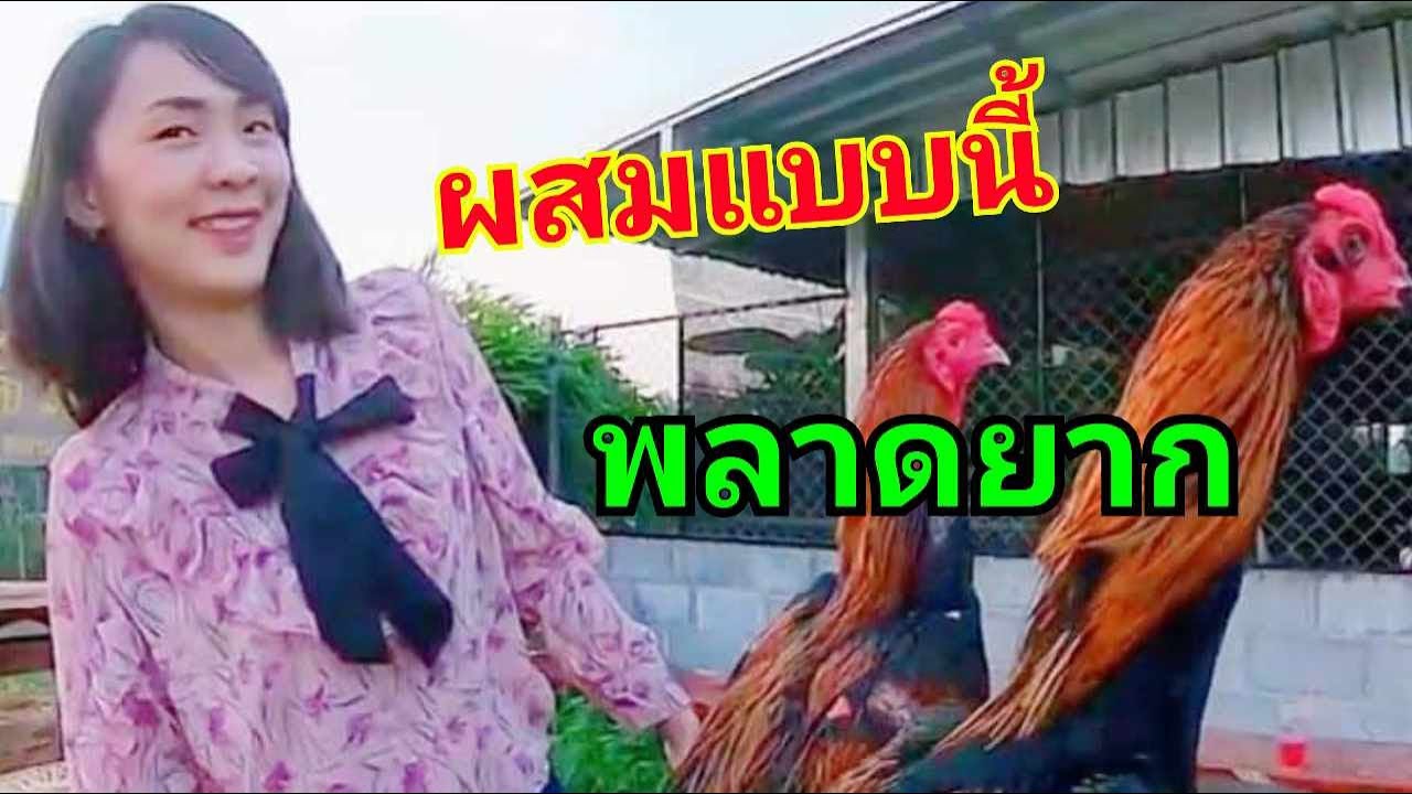 ไม่ต้องเชื่อผม?..  ผสมแบบนี้พลาดยาก