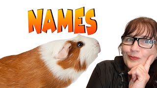 Do guinea pigs know their name - great names for guinea pigs by Cavy Central Guinea Pig Rescue with Lyn 713 views 1 year ago 5 minutes, 17 seconds