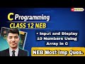 C Program Using Array | Input and Display 10 Numbers | Class 12 NEB