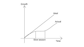 PaperSimple: Growth vs time