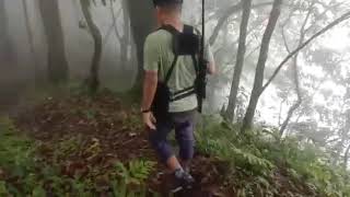 Hiking 4 Tarso