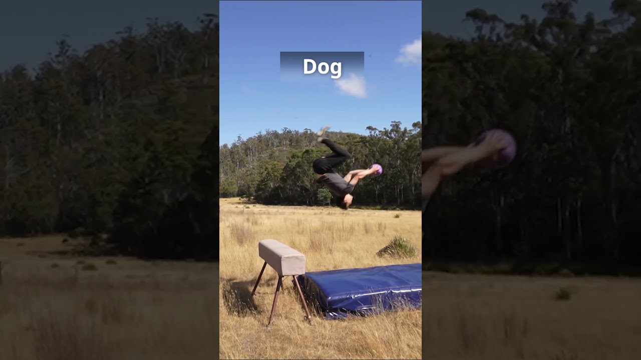 If Animals Did Parkour Part 1