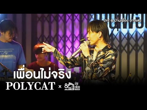 Polycat - เพื่อนไม่จริง | Live Concert บ้านเพื่อน บางแสน เล่นสด