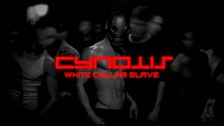 Cynotis - White Collar Slave (142bpm - 4k)