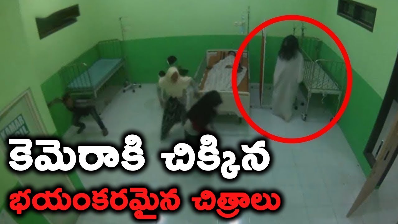 Truly Shocking & Horrifying Moments Caught on Camera T Talks YouTube