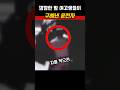 깜깜한 밤 여고생들과 버스기사님이 달려간 그곳에