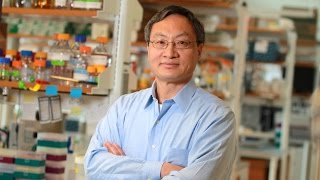 Fen Biao Gao inaugural Cellucci Chair studies ALS FTD