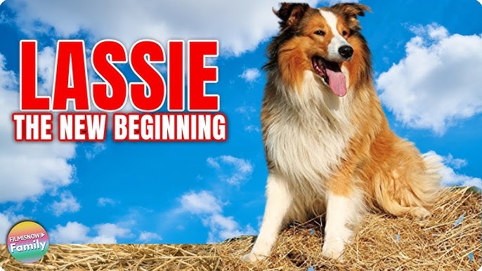 Lassie (1994) : r/90s_kid