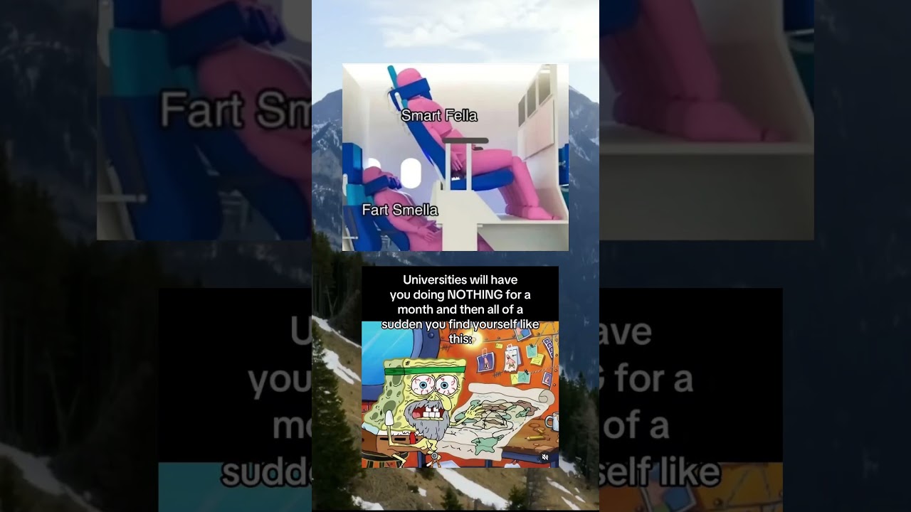 Smart fella vs fart smella 😂 