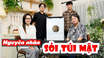 Bác sĩ Phúc nói về Nguyên nhân Sỏi túi mật