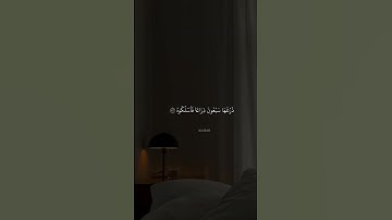 آية من سورة الحاقه #اللهم_صل_وسلم_على_نبينا_محمد #اكسبلور #صلاة #قران_كريم #حلات_واتس #دويتو #duet #